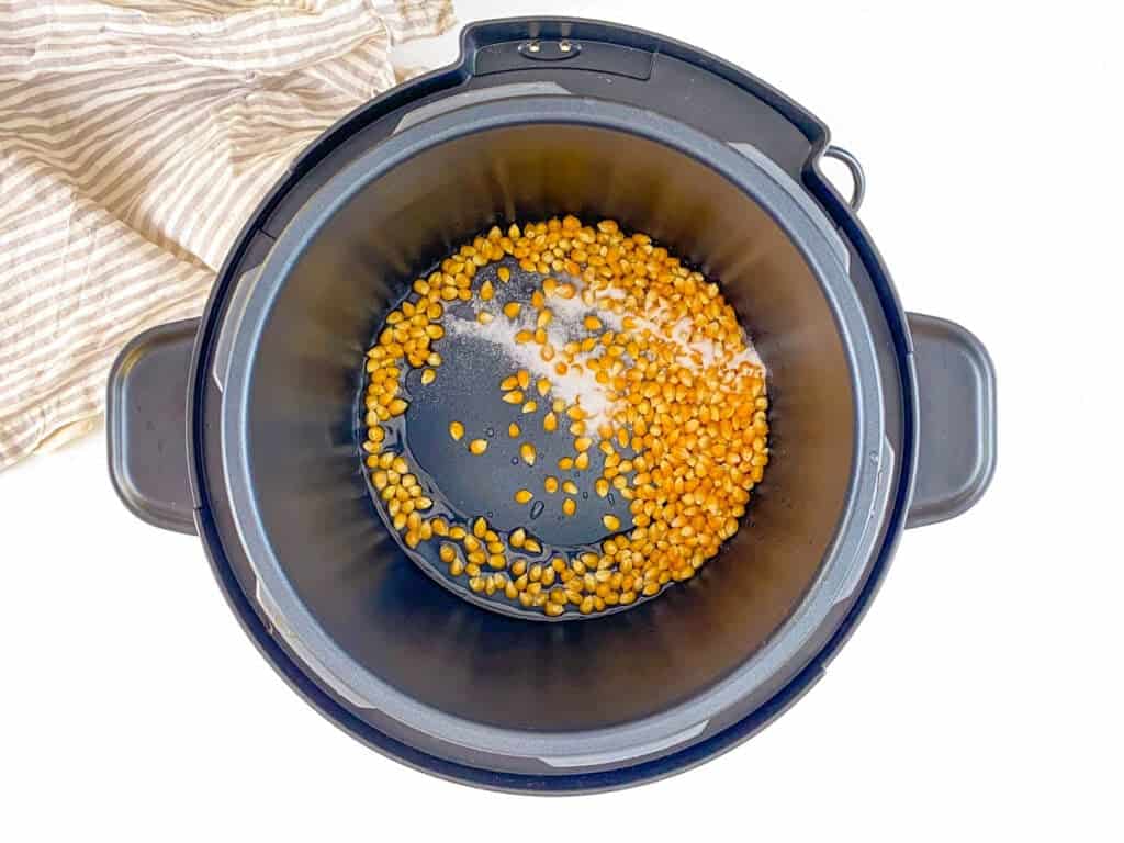 Instant Pot Popcorn