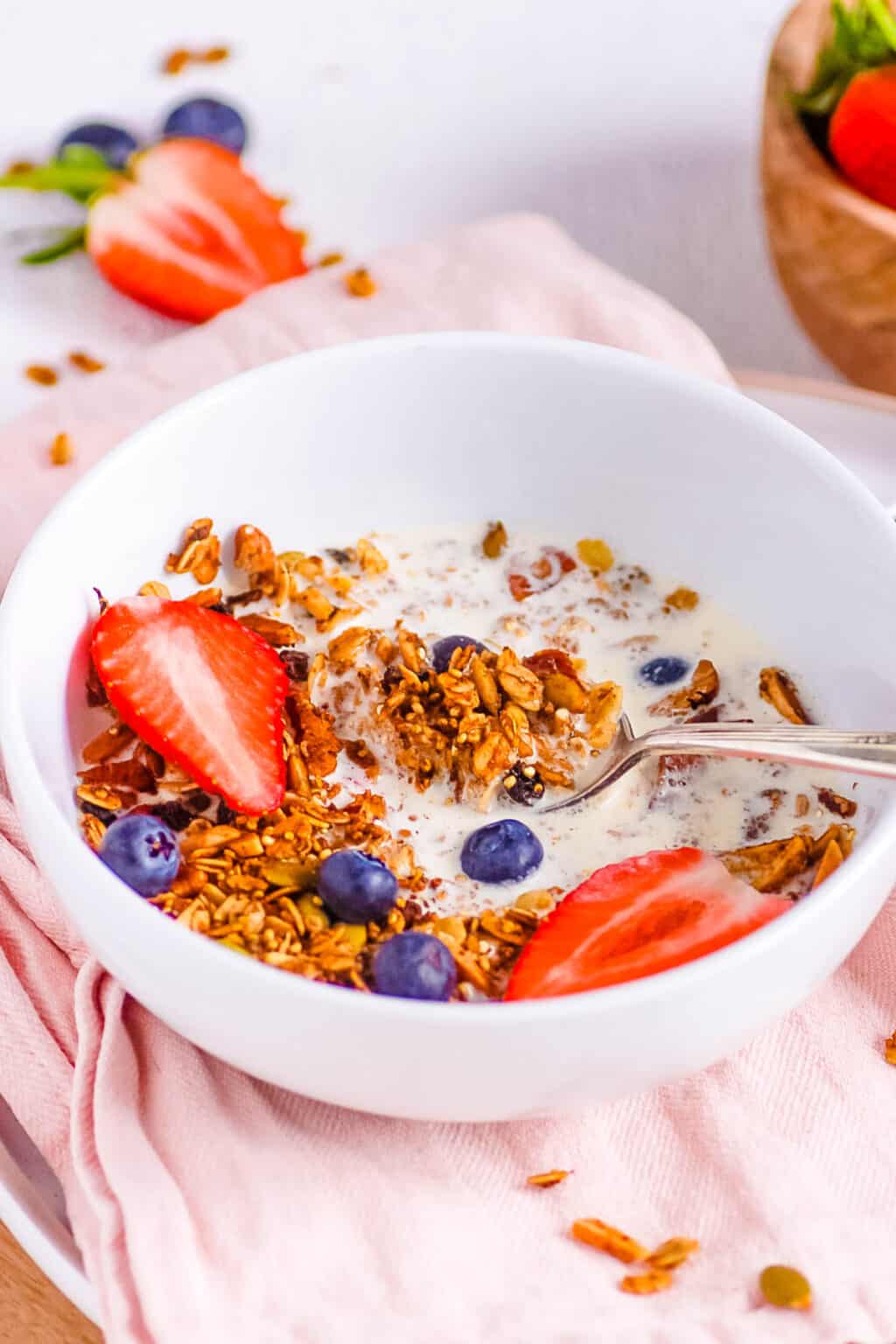 Healthy Low Calorie Granola (LowSugar, LowFat!) The Picky Eater