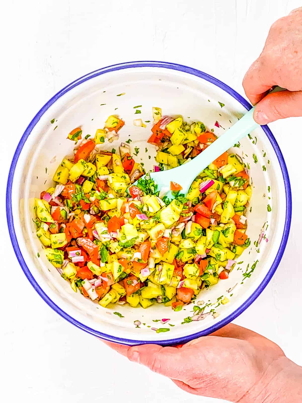 Diced pineapples, onions, tomatoes and jalapenos mixed in a bowl.