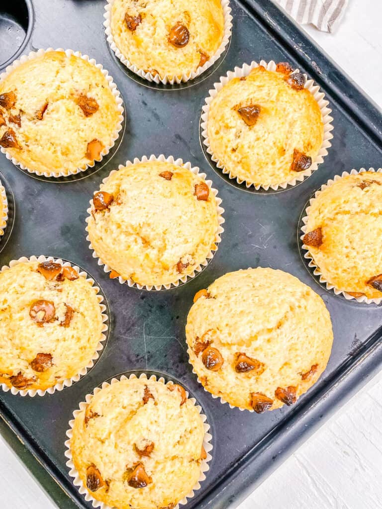Chocolate chip cookie muffins in a muffin tin, fresh out of the oven.