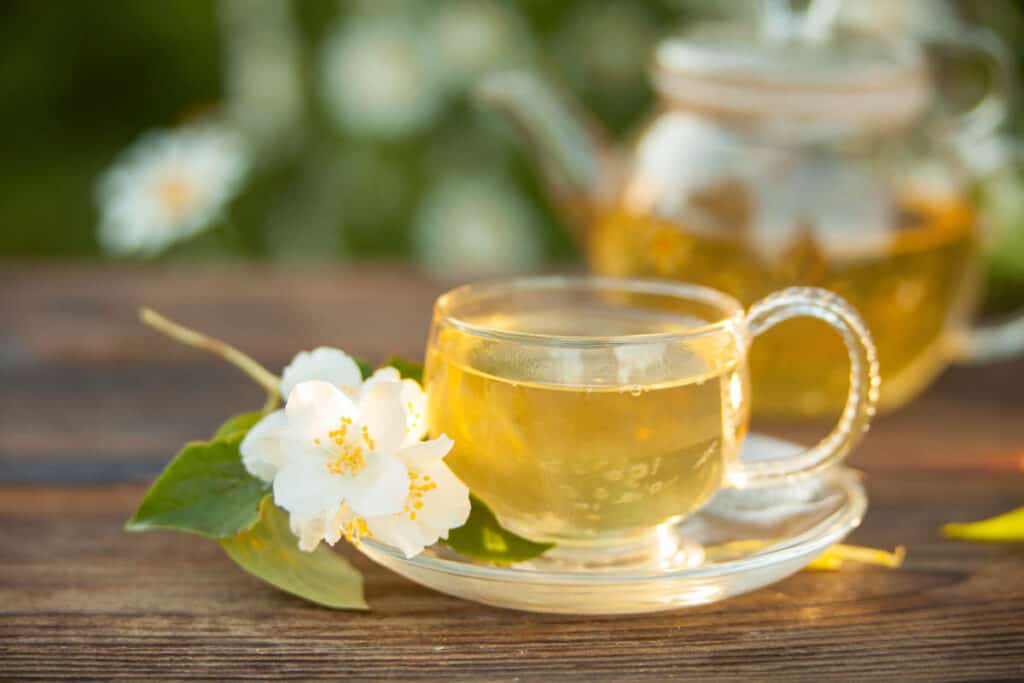 Cup of jasmine tea on a table.