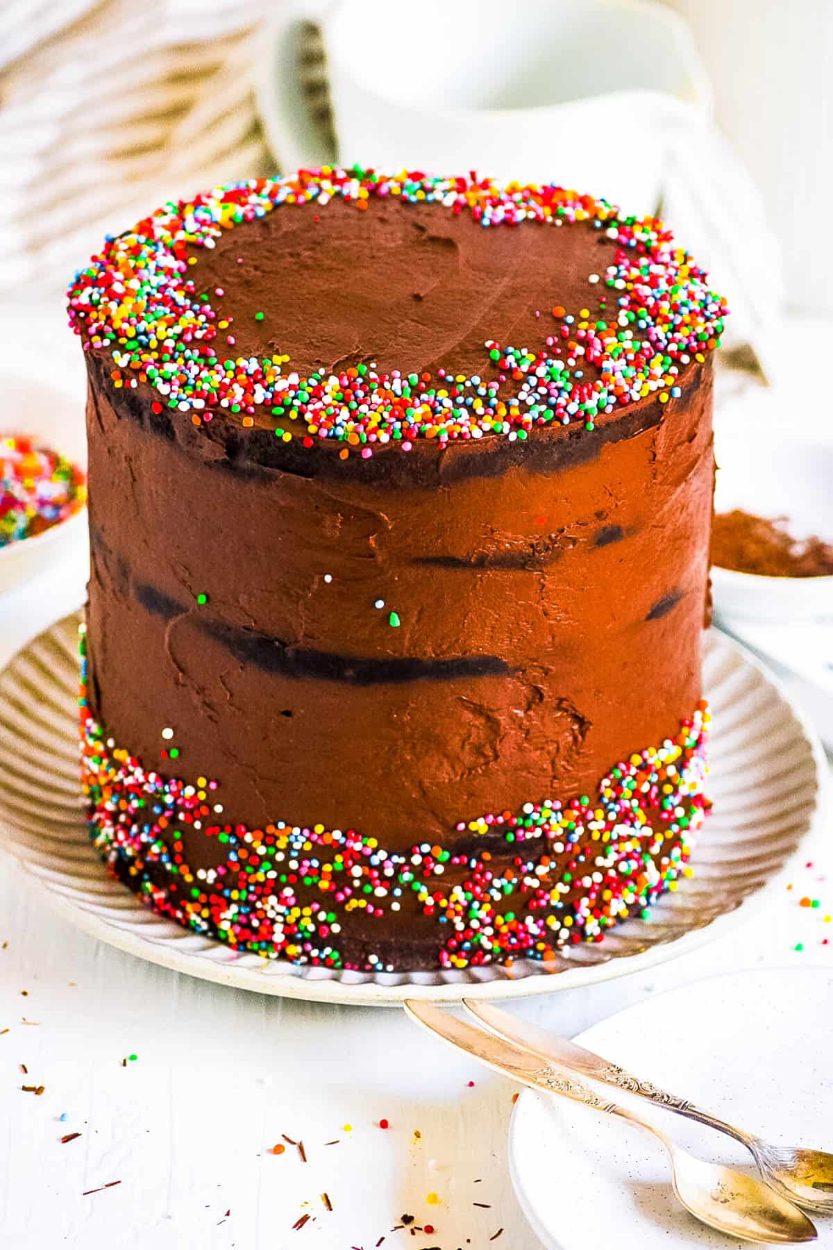 Rainbow chocolate cake displayed on a white plate.