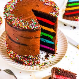 Rainbow chocolate cake sliced and displayed on a white plate.