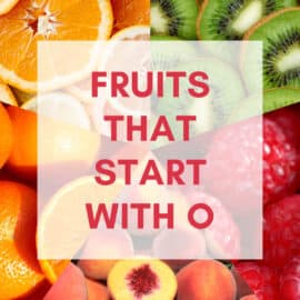 Fruits that start with O graphic.