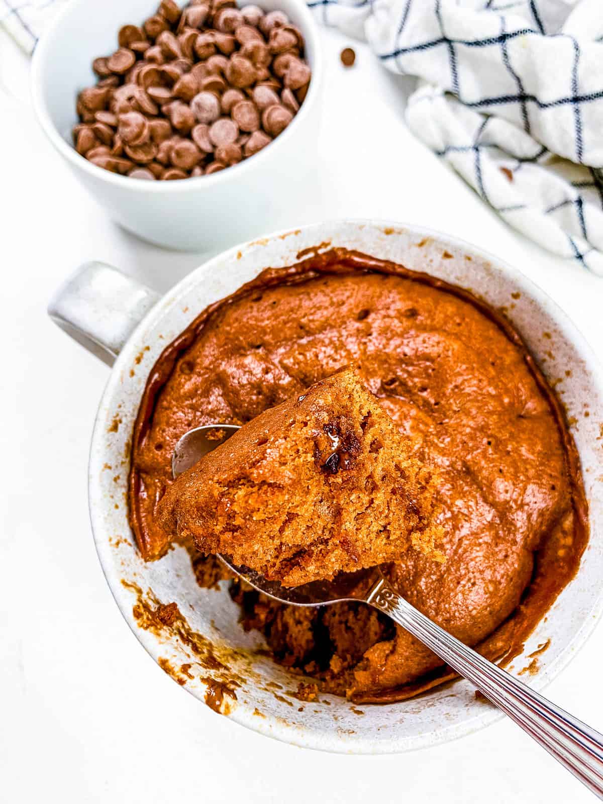 Protein Powder Mug Cake The Picky Eater