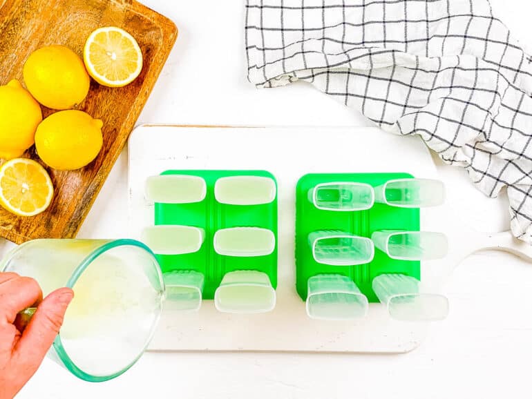 Lemon Pop Lemon Popsicles (Easy Snack!) | The Picky Eater