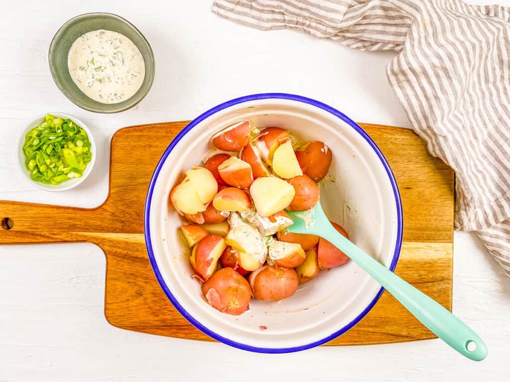 Tossing diced potatoes in the mayonnaise dressing in a mixing bowl.