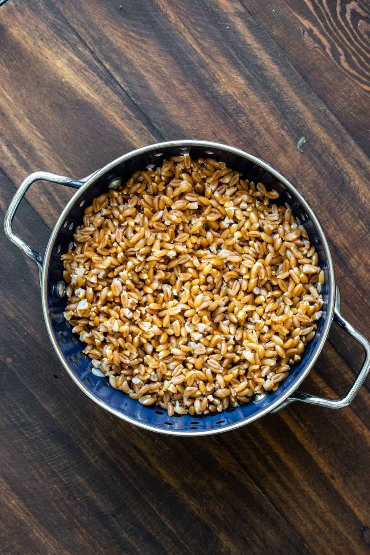 Blue strainer filled with cooked farro on a wooden table.