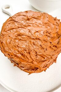 Sugar Free Chocolate Cake | The Picky Eater