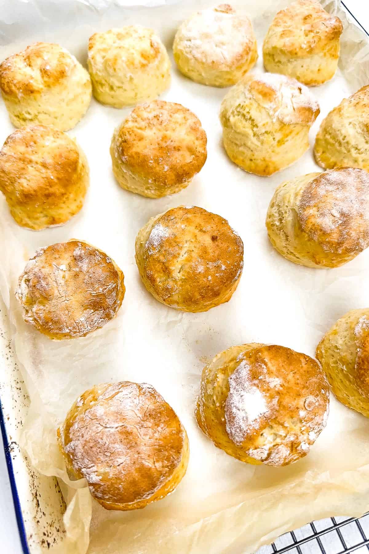 Rows of golden topped healthy biscuits on a baking sheet after being taken out of the oven. 