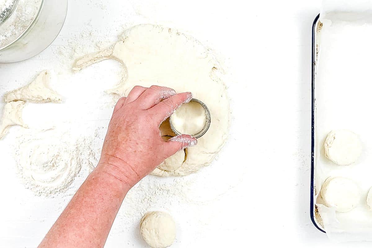 A cookie cutter being used to cut round circles from the biscuit dough, on a white background. 