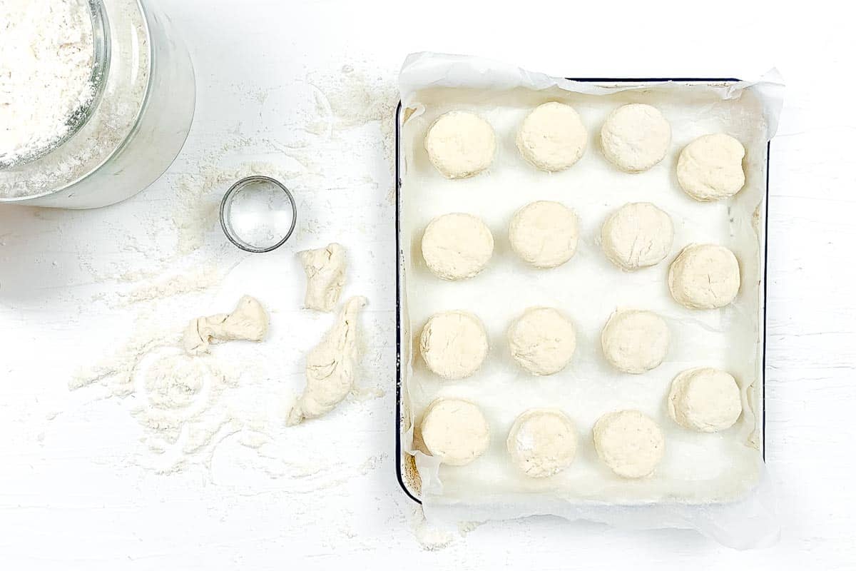 All the raw biscuits are lined up on a baking sheet before being baked. 