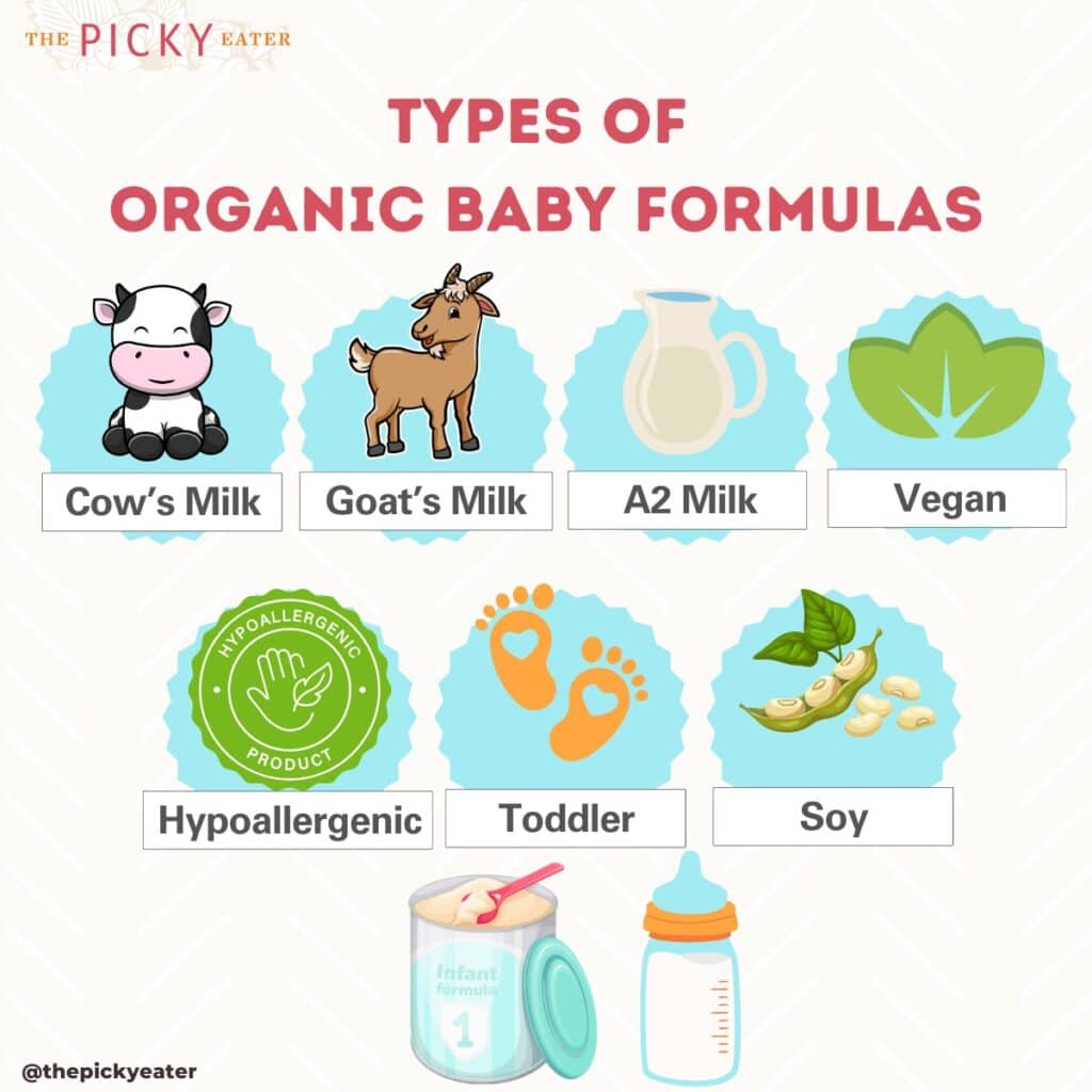 Best Organic And Cleanest Baby Formulas (2024 Guide) | The Picky Eater