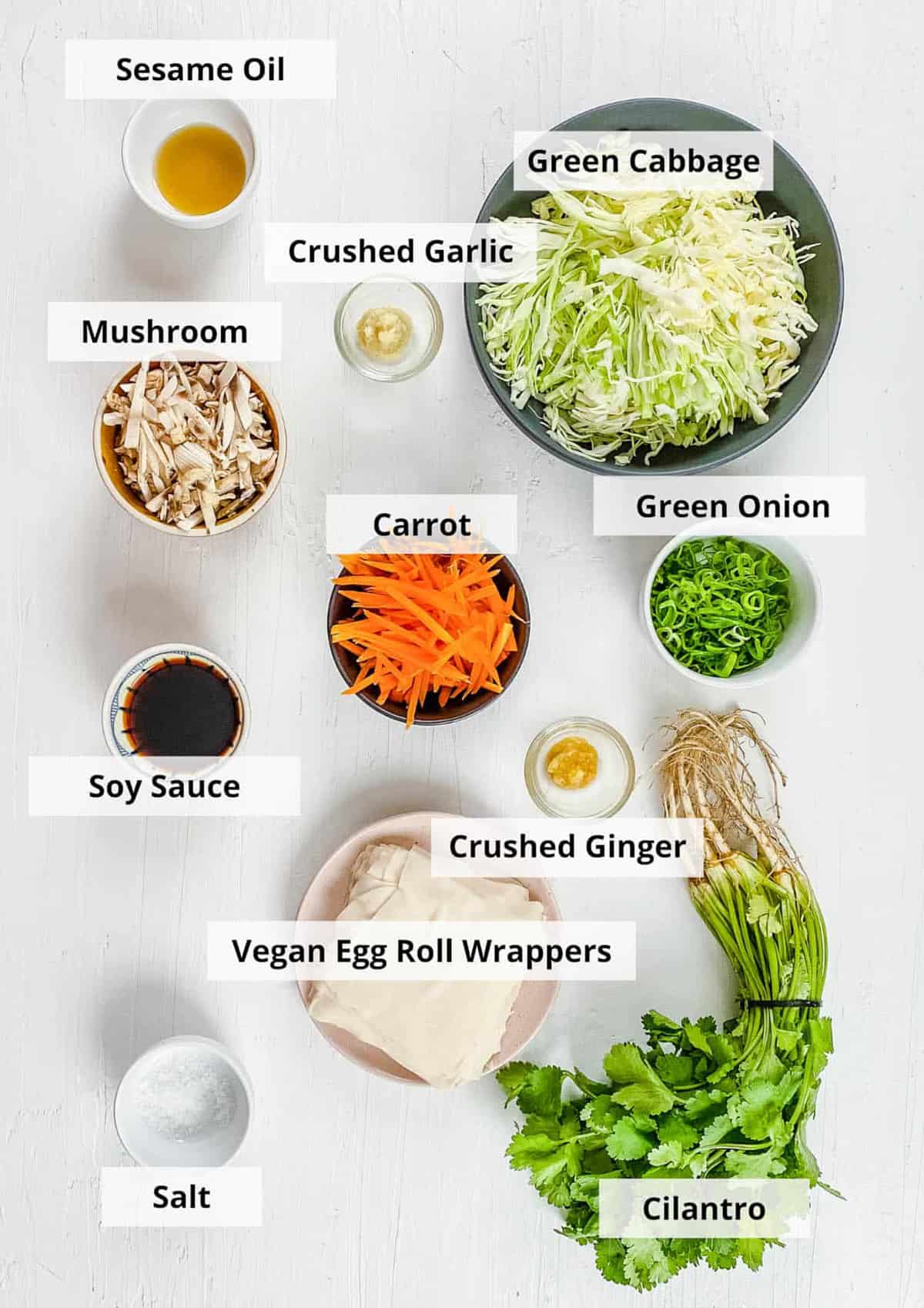 Ingredients for vegan egg rolls recipe on a white background.