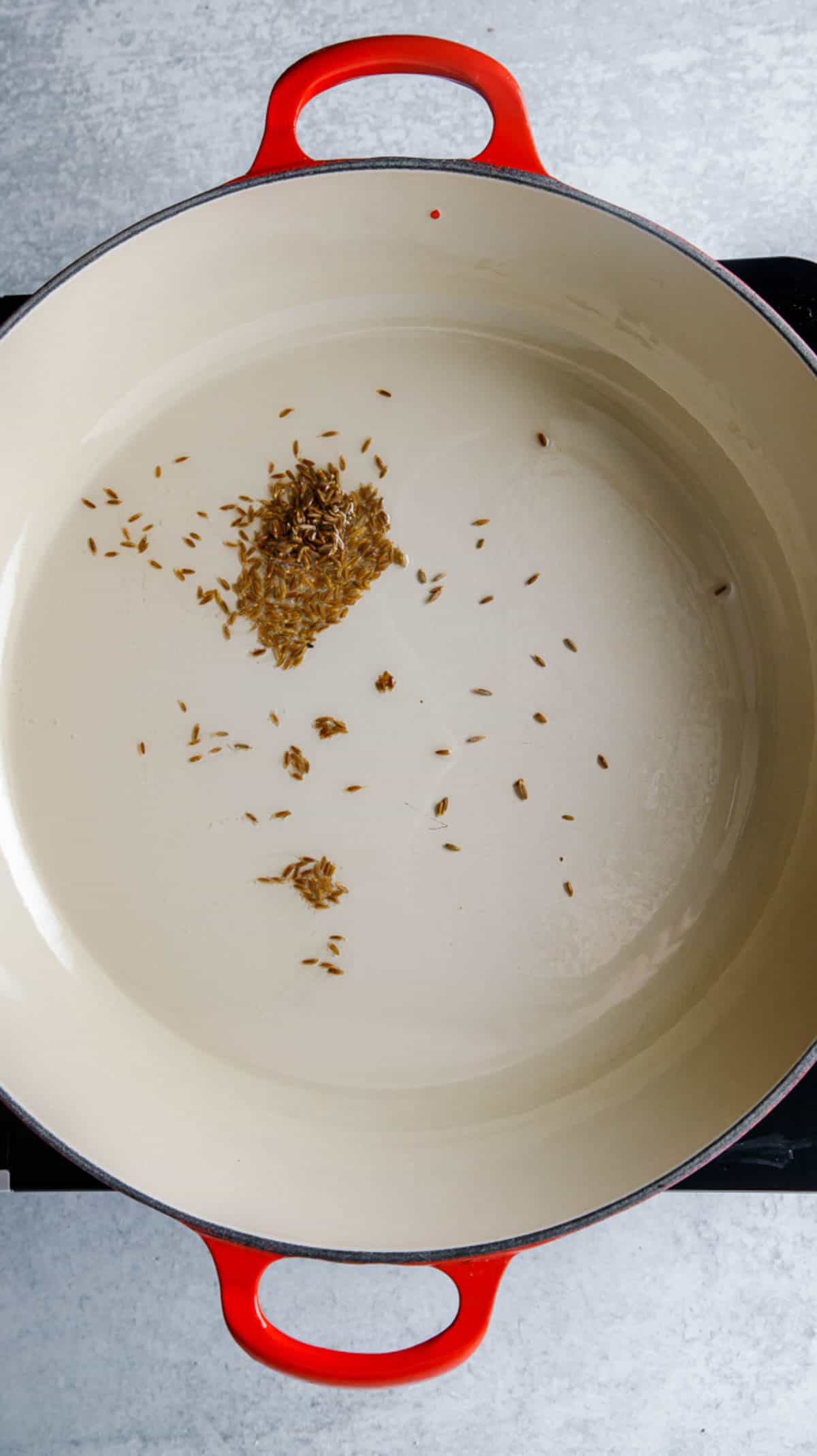 Cumin seeds toasting in a pot on the stove.