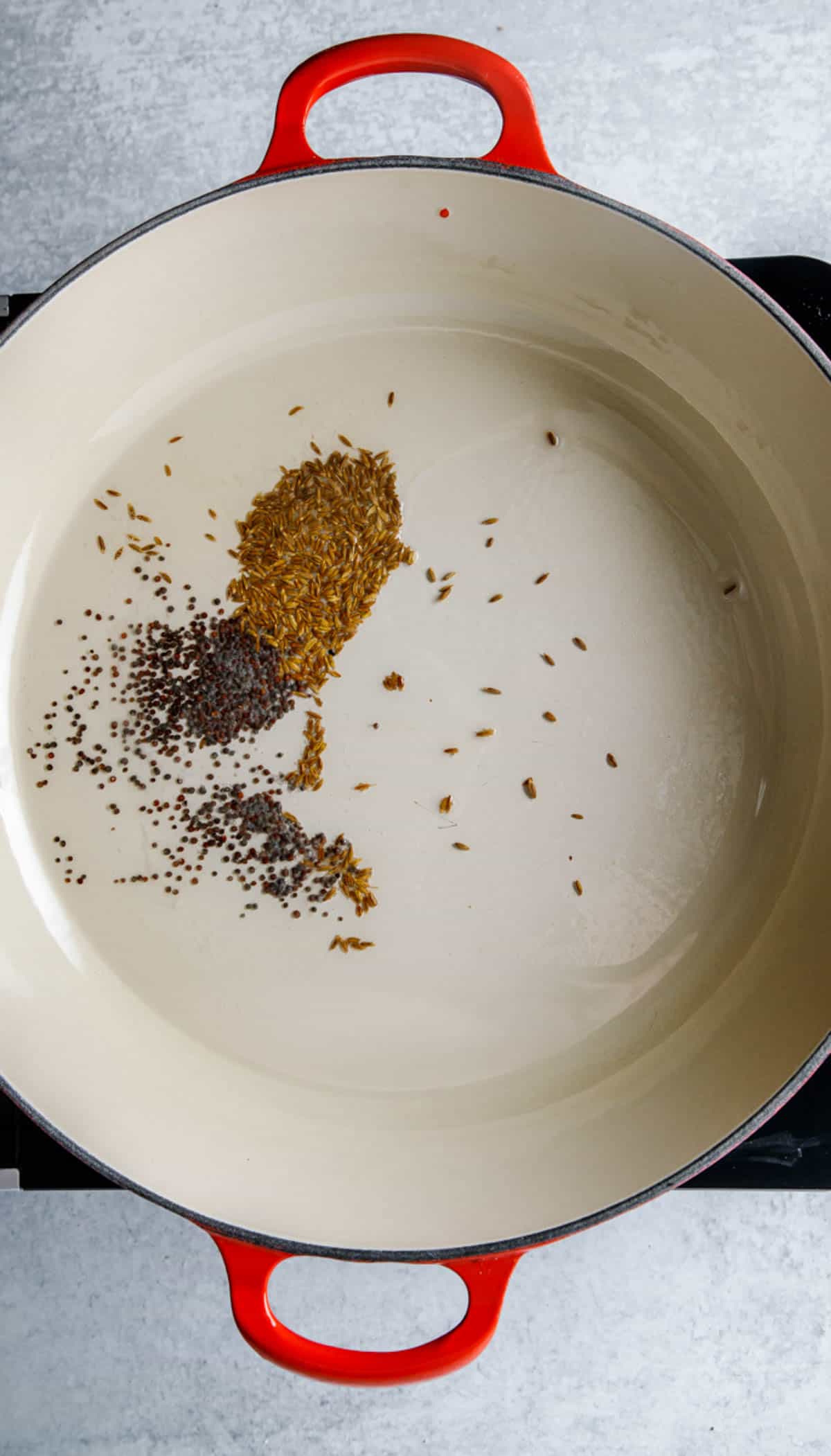 Cumin and mustard seeds sauteed in a pot on the stove.